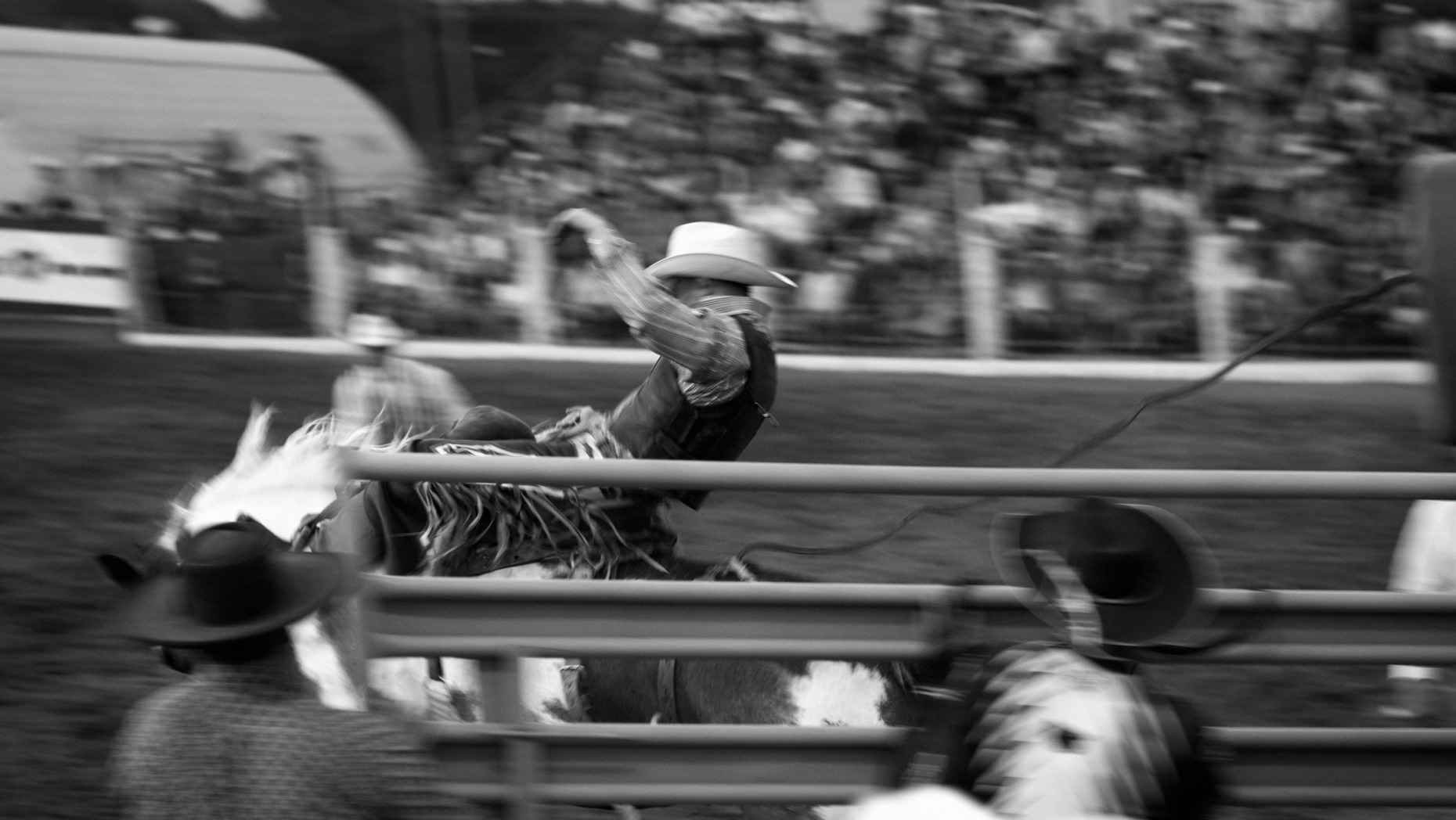 michaelpauljones_rodeo21