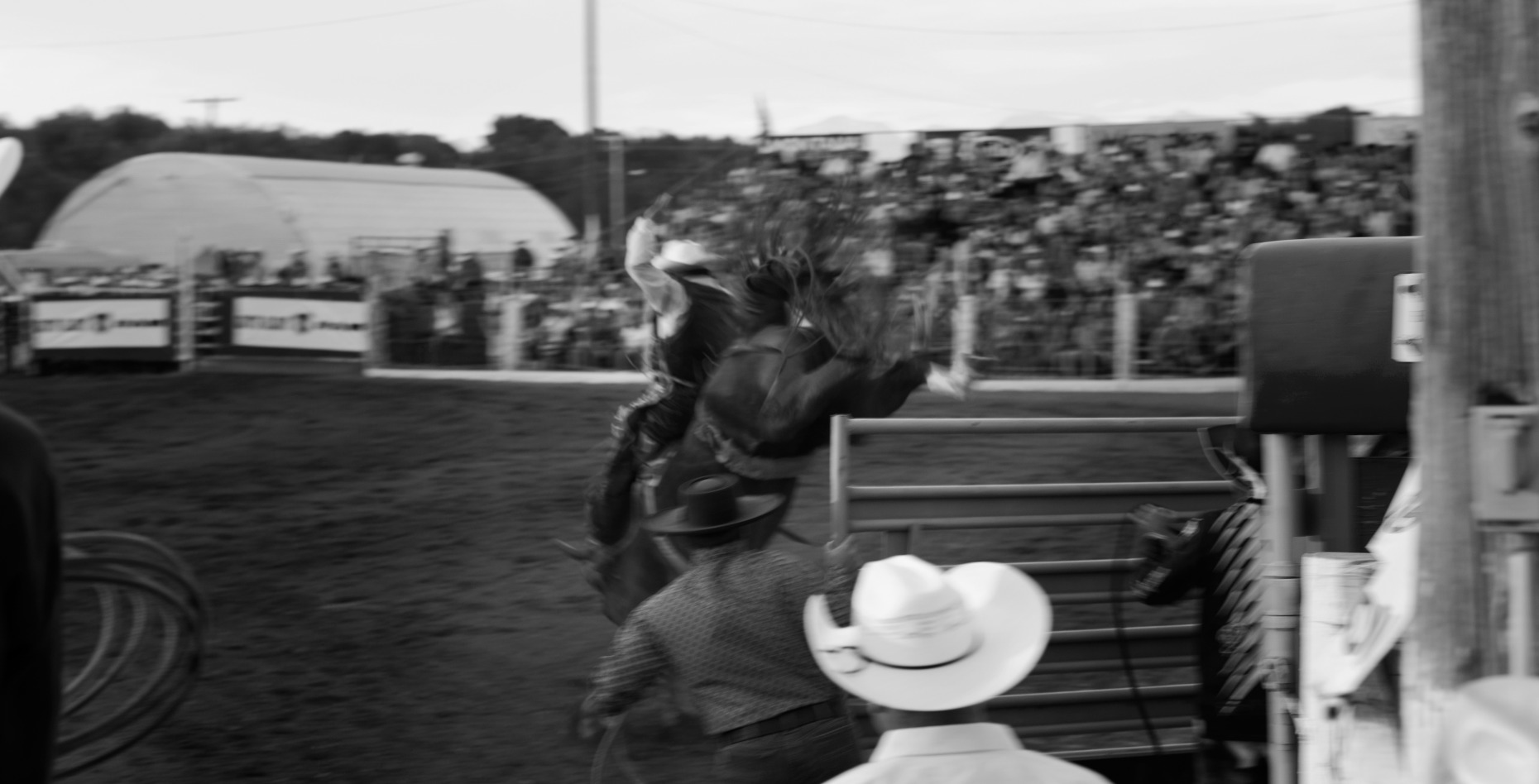 michaelpauljones_rodeo48